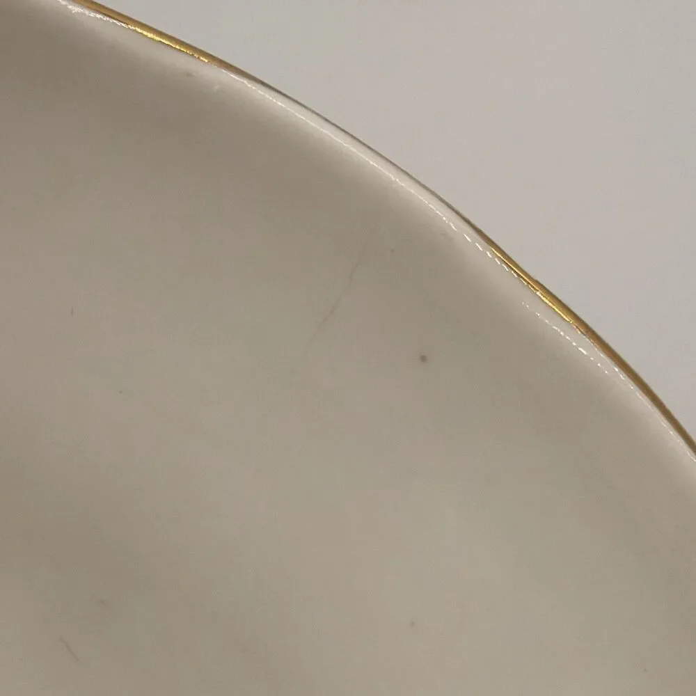 Vintage Regina Fine Bone China Floral Cup & Saucer Gold Trim England Flaw